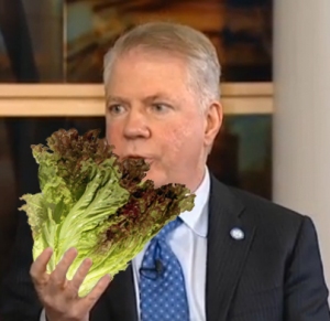 mayor with lettuce